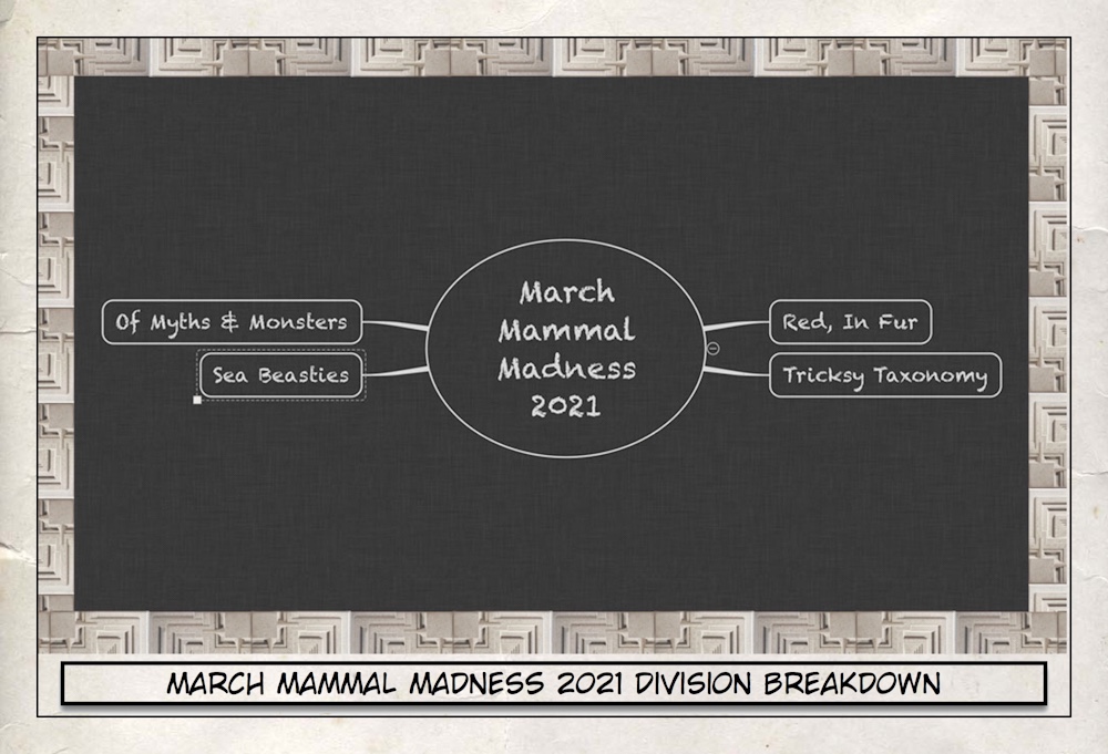 March Mammal Madness 2021 Division Breakdown - Beyond Tannhauser Gate