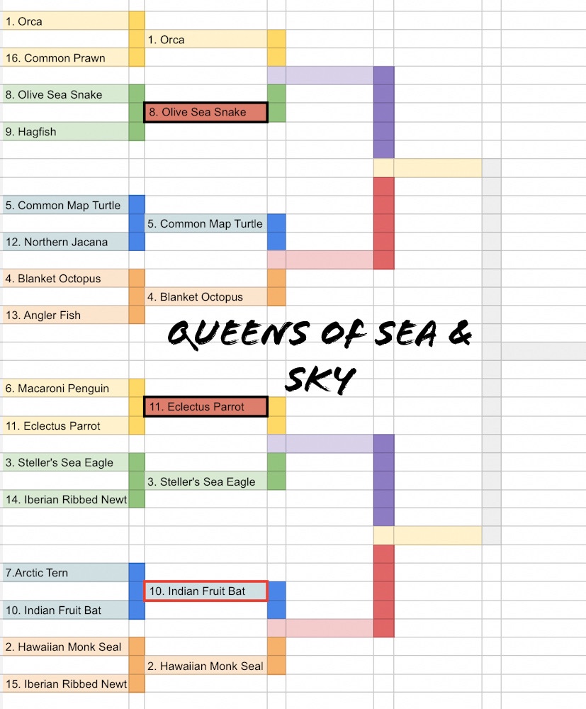 Results and Another Round of the 2022 March Mammal Madness - Beyond